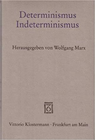 Umschlag Determinismus - Indeterminismus: Philosophische Aspekte physikalischer Theoriebildung